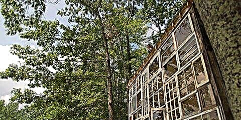Esta cabina de Virxinia Occidental feita de Windows reciclado é impresionante