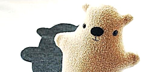 Hvernig á að: DIY Groundhog Day Plush Toy