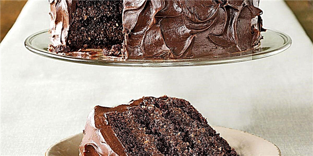 Torta rica en capas de chocolate