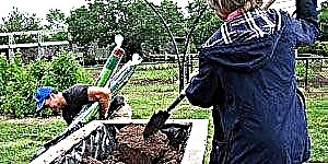 # 15 Контейнерное садоводство: грунтовка