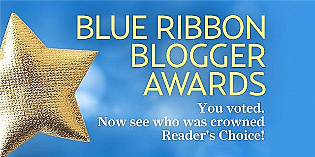 Aturan Penghargaan Blogger Biru Biru