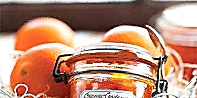Orange-Cardamom Marmalade