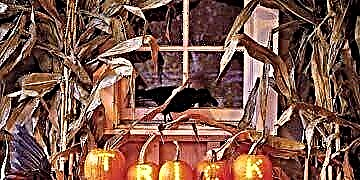 Halloween Decorating - Artikolo