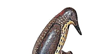 Cast-Iron Woodpecker: Wat ass et? Wat ass et wäert?
