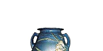 Roseville Pottery Vase: O le a lea? O le a lona aoga?