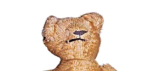 Vintage Mohair Teddy Bear: Ni Nini? Je! Ni Nini Cha maana?