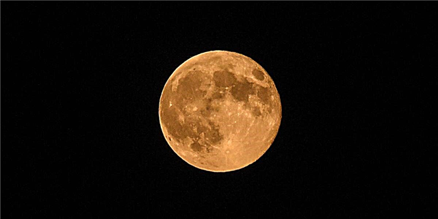 Земляничная луна сегодняшнего вечера будет одной из самых красивых полнолуний года