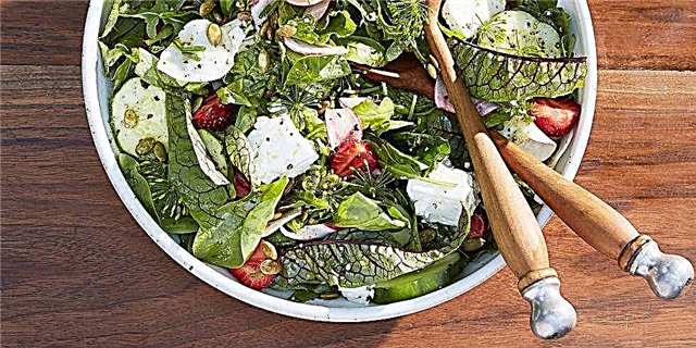 Zelena salata sa puretinom, jagodama i pepitasom