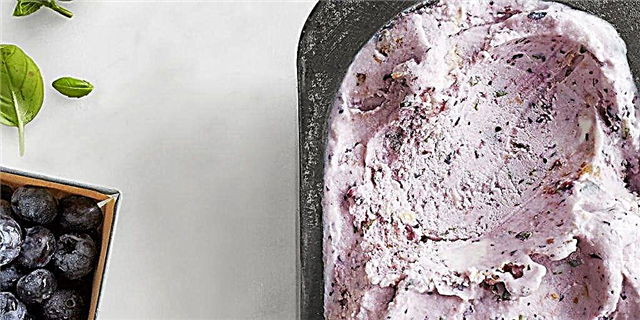 Черничный базилик замороженный йогурт