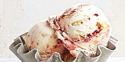 Raspberry Linzer Cookie Frozen Yogurt