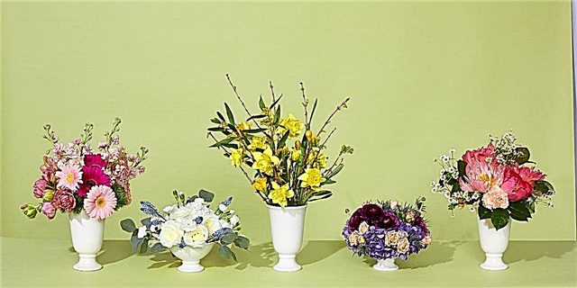 5 წვრილმანი ყვავილების თაიგული, რომლებიც საგაზაფხულო პერიოდისთვის უნდა გააკეთოთ