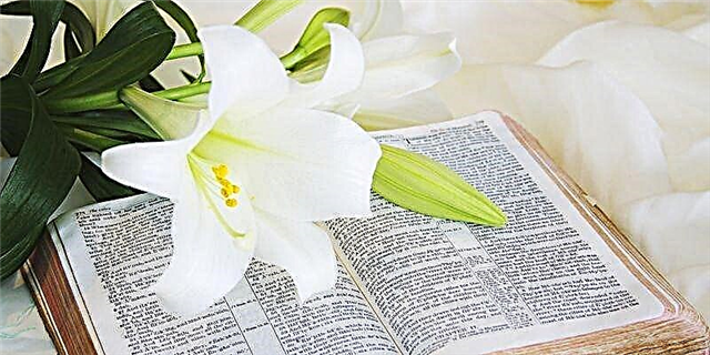 40 najboljih uskršnjih biblijskih stihova koje ćete podijeliti sa svojim voljenima ove svete sezone