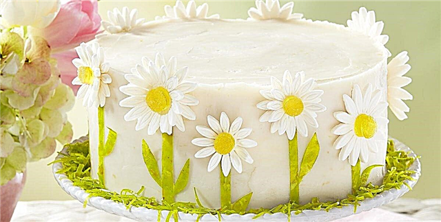 Vor Daisy Lemon Layer Cake