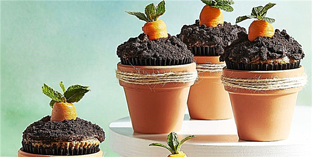 Cupcakes Carrot Patch