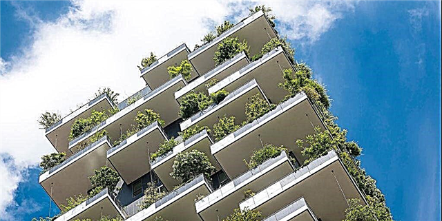 As mellores plantas con balcóns para incluso os máis novos espazos ao aire libre