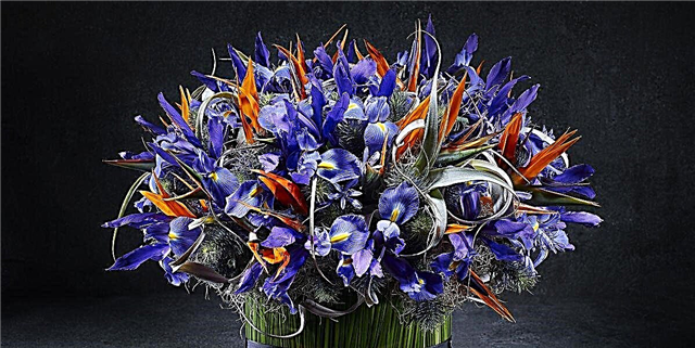 Consellos para os arranxos de flores inesquecibles con Jean-Pascal Lemire