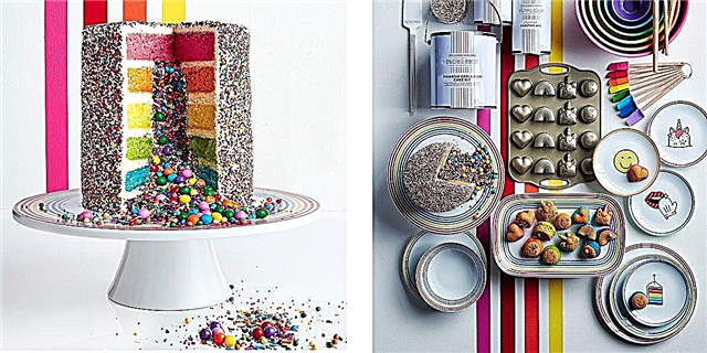 این کیک های انفجار رنگین کمان مجنون هر روز تولد شما را رقم می زنند