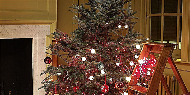 Hiasan Pohon Natal Setengah-Lamat: Dekorasi Liburan Gagal Utawa Tren Anyar?