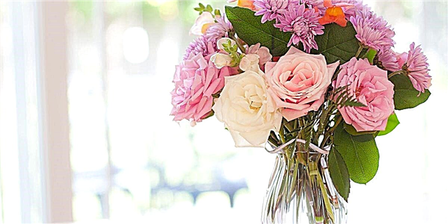 5 brillantes consellos e ideas sobre a ordenación de flores