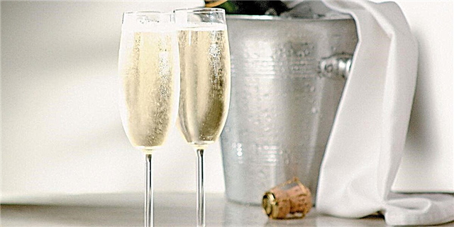 Radarda davom etish uchun 8 shampan uylari