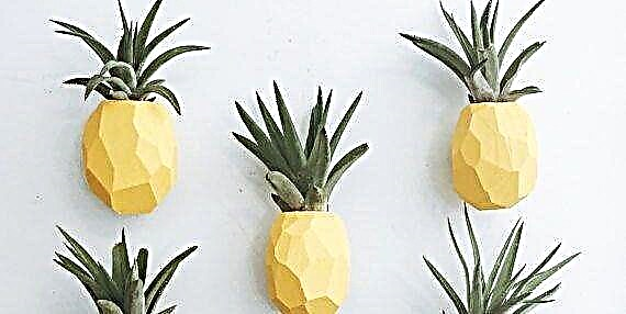 Овие држачи за растенија од ананас се токму она што ви недостасувале вашите голи Nидови