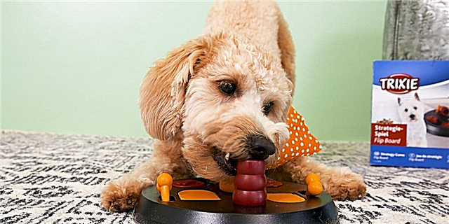 Carmina Dog Toys pro ingenio Pup