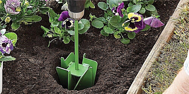 Esta ferramenta sinxela facilita a plantación dun xardín
