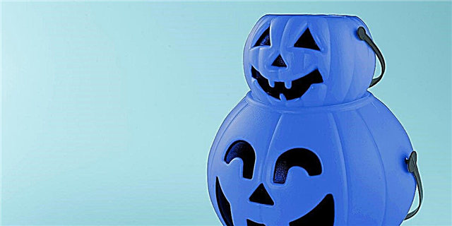 Blue Halloween Buckets များသည်လှည့်စားခြင်းသို့မဟုတ်ကုသခြင်းအတွက်တရားမဝင် Autism သင်္ကေတဖြစ်လာသည်