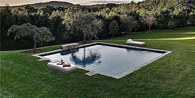 A duhet të vendosni një pishinë natyrore në oborrin e shtëpisë tuaj?