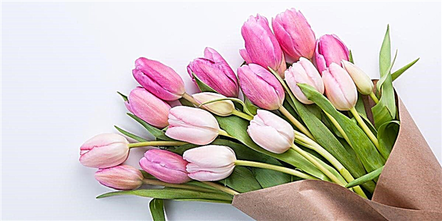 Podes pedir un ramo de tulipas de 20 tallos por 10 dólares desde alimentos completos O día da nai