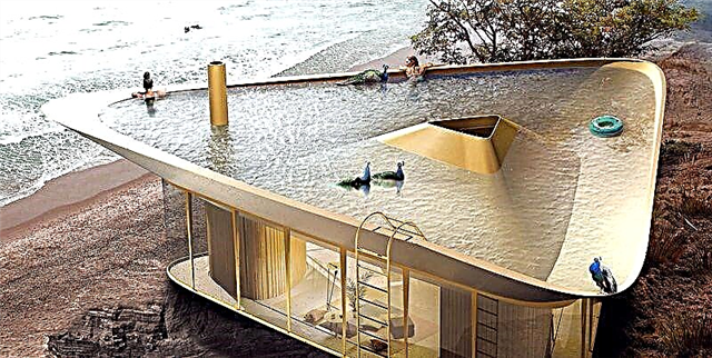 Hierdie huis het 'n omgekeerde dak wat as swembad gebruik kan word