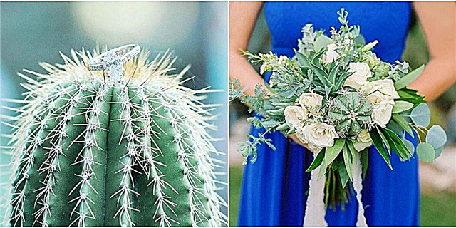 A decoración do cactus estará en todas partes nesta tempada de voda