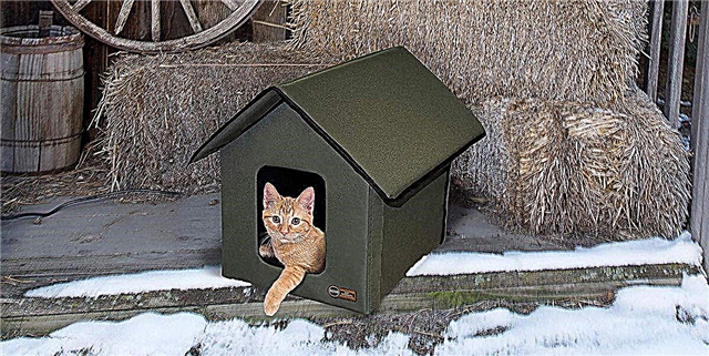 Чувајте ги мачките на отворено цела зима топла со оваа загреана куќа за домашни миленици