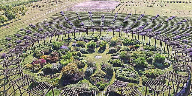 Ev Lavender Labyrinth Sêwiran Damezirandî ye ku hûn Relax Bikin