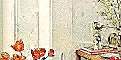Možete li pogoditi godinu? Vintage kuća prekrasna fotografija dnevne sobe sa crvenim naglascima