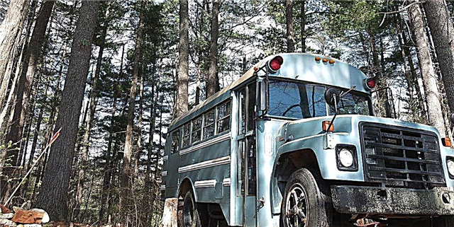 Vostede e o seu significativo máis permanecerán neste autobús escolar romántico estacionado nun piñeiral?