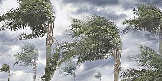 Die eerste naam Storm van die orkaanseisoen het aangebreek