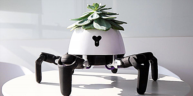 Hexa роботы өсімдік өсіп-өну үшін күн сәулесін түсіреді