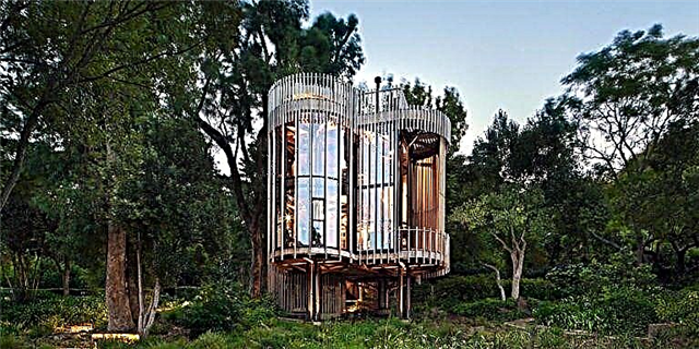 Hierdie boomhuis in Kaapstad, Suid-Afrika is 'n gesig om te sien