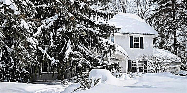 Обогрев вашего дома этой зимой будет стоить дороже, потому что зверских времен недостаточно