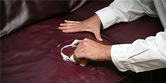 Como limpar un sofá de coiro