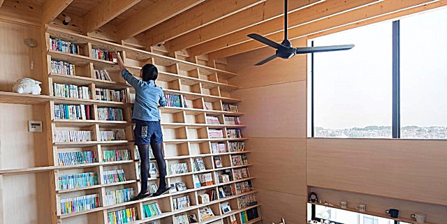می توانید از این قفسه کتابچه دار صعود کنید