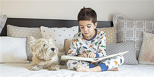 مطالعہ کے مطابق ، کتے کا ہونا آپ کے بچے کو بہتر اور طویل پڑھنے کے لئے متحرک کرسکتا ہے