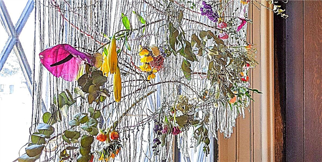 Este artista fai marabillosos tecidos usando flores silvestres e tamén pode