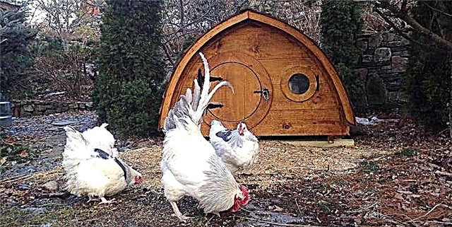 Etsy está a vender as casas máis divertidas de Hobbit Chicken Coop para amenizar o seu curro