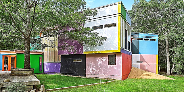 Зураач Маделин Гинс, Аракава нар таныг урт удаан наслахад туслах Зүүн Хэмптоны гэрийг зохион бүтээжээ