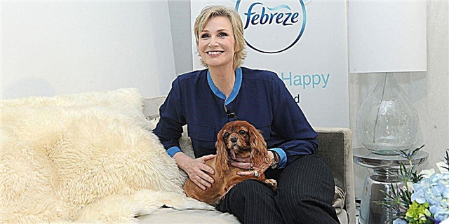Jane Lynch govori o ukrašavanju za vlasnike pasa