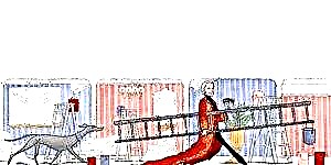 ಶ್ರೀಮತಿ ಫಿಕ್ಸ್-ಇಟ್: ಏಕೆ ಕರೋಲ್ ಪ್ರಿಸಂಟ್ ಫಿಕ್ಸರ್-ಅಪ್ಪರ್‌ಗಳನ್ನು ಪ್ರೀತಿಸುತ್ತಾನೆ