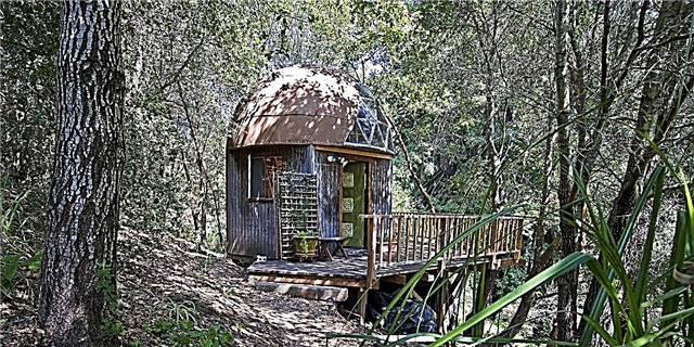 Самым посещаемым в мире Airbnb всех времен является Грибной Купол в Калифорнии