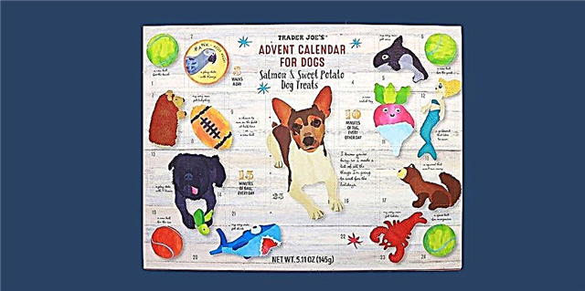 O calendario de adventos para cans do comerciante Joe está de novo en stock